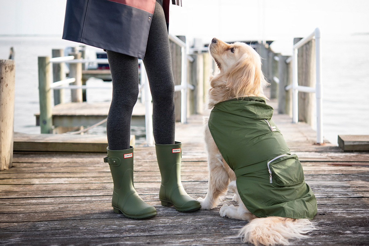 Web_FABDOG_0724_MICHELLEROSEPHOTO_DSC_6437_R_R4_websize-crop NYC corporate photography
